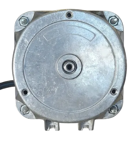 10W-40W PUMP MOTOR